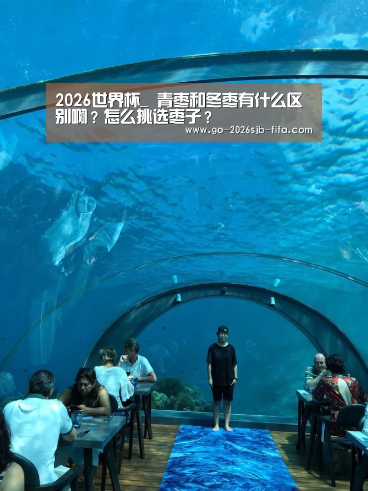 2026世界杯_
青枣和冬枣有什么区别啊?怎么挑选枣子?(图2) 世界杯买球网站