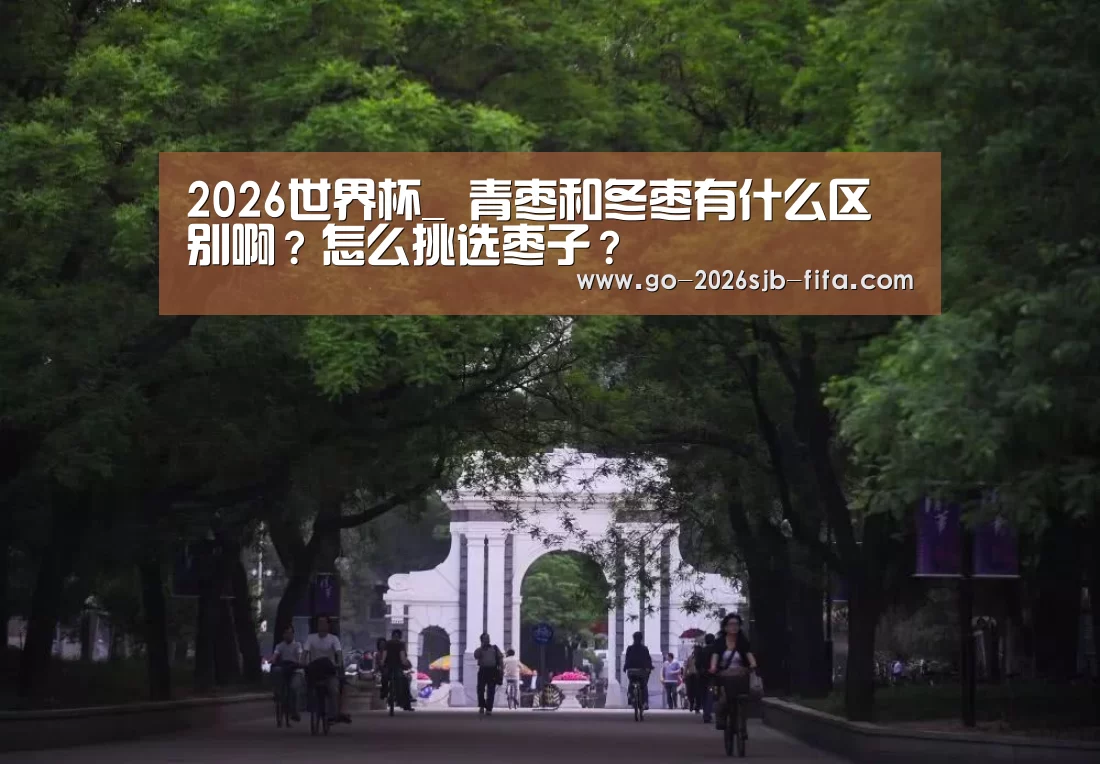 2026世界杯_
青枣和冬枣有什么区别啊?怎么挑选枣子?(图3) 世界杯投注