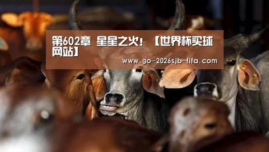 第602章 星星之火!【世界杯买球网站】(图2) 2026世界杯