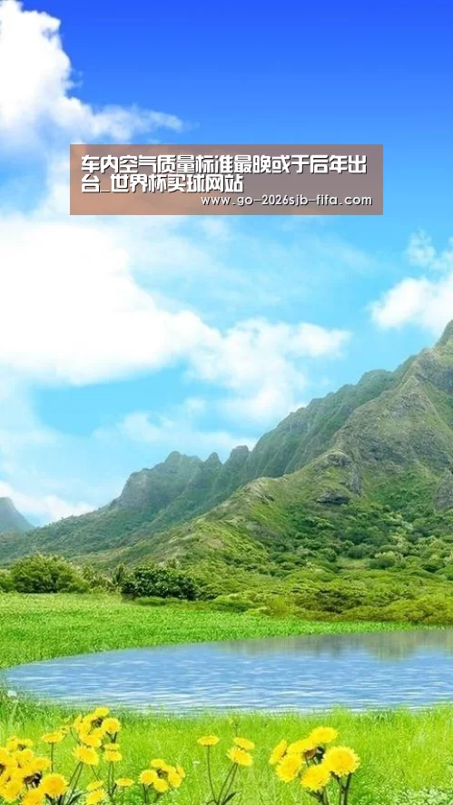 车内空气质量标准最晚或于后年出台_世界杯买球网站(图2) 世界杯买球网站