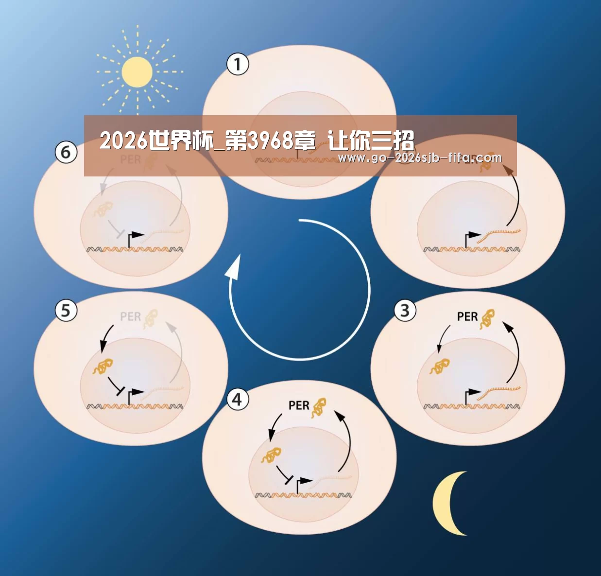 2026世界杯_第3968章 让你三招(图1) 世界杯投注