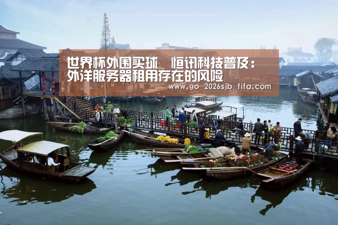 世界杯外围买球_
恒讯科技普及:外洋服务器租用存在的风险(图2) 世界杯投注